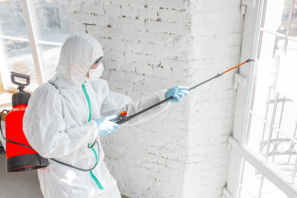 Best Industrial Mold Remediation  in Steelville, MO